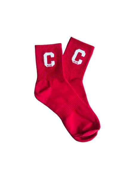 Samuy C logo Socks with Hebrew Symbol